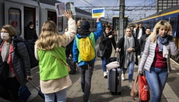 В Нидерландах всего за месяц нашли работу более 4000 беженцев из Украины