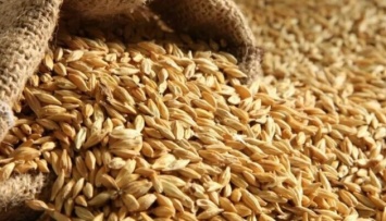 В Мелитопольском районе захватчики отбирают зерно у фермеров