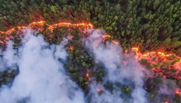 Россия в огне: лесные пожары почти во всех регионах, есть жертвы