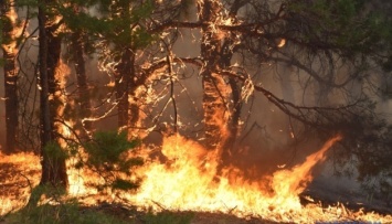 Действия врага повлекли за собой пожар на Кинбурнской косе - горит почти 4000 гектаров леса