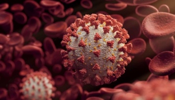 Польша отменила состояние эпидемии коронавируса