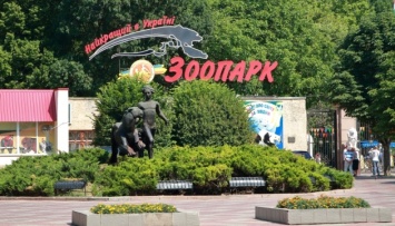 Николаевский зоопарк возобновляет работу - мэр