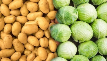 В Украине дешевеют ранняя капуста и картофель - эксперты
