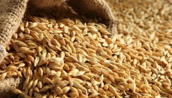 На Херсонщине захватчики скупают у фермеров зерно по втрое более низкой цене, чем рыночная