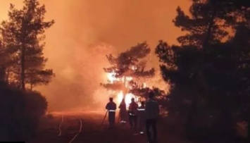 Лесной пожар в Турции: борьбу с огнем ведут 20 вертолетов и 14 самолетов