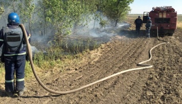 На Николаевщине в результате обстрелов сгорело 82 гектара пшеничного поля, ангар и насосная станция