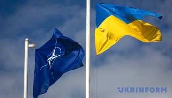 Украина не будет делать шагов для вступления в НАТО, потому что пока это бесперспективно - Жовква