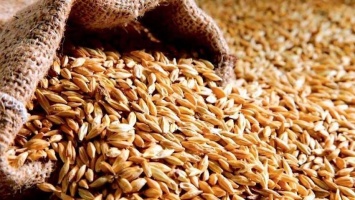 У Болгарії фермери виступили проти імпорту зерна з України: яка причина