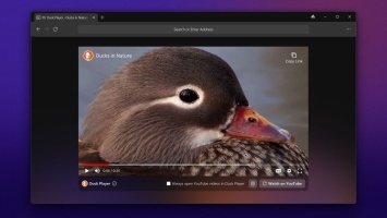 DuckDuckGo выпустила бета-версию браузера для Windows