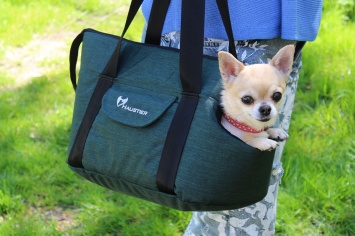Собачі сумки-переноски: ідеальний вибір для подорожей та міських прогулянок